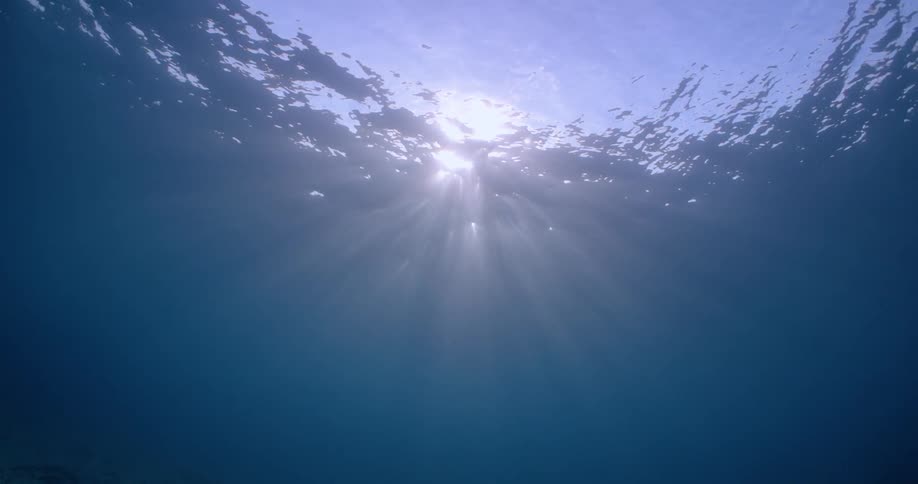 An underwater shot of the surface of the ocean as sunlight reflects through the surface casting sunrays through the water