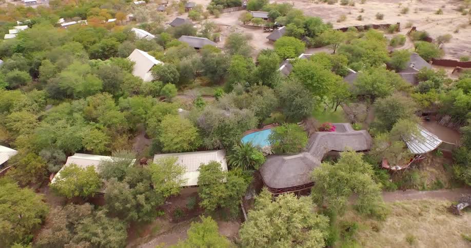 Aerial view of trees and small buildings