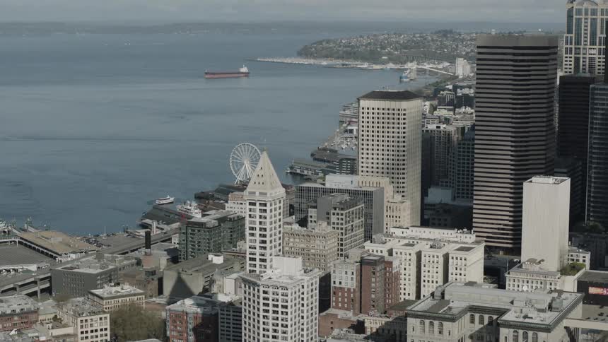 A ferris wheel sits by the shore of this large city