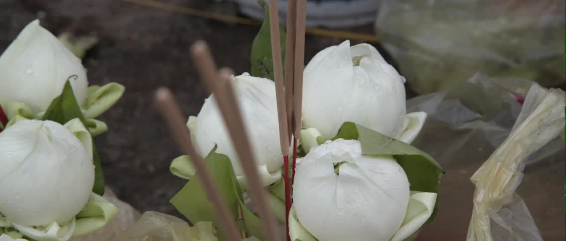 Some flowers are arranged together
