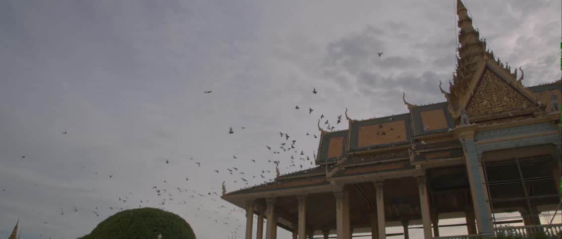 Birds flying over an intricate building