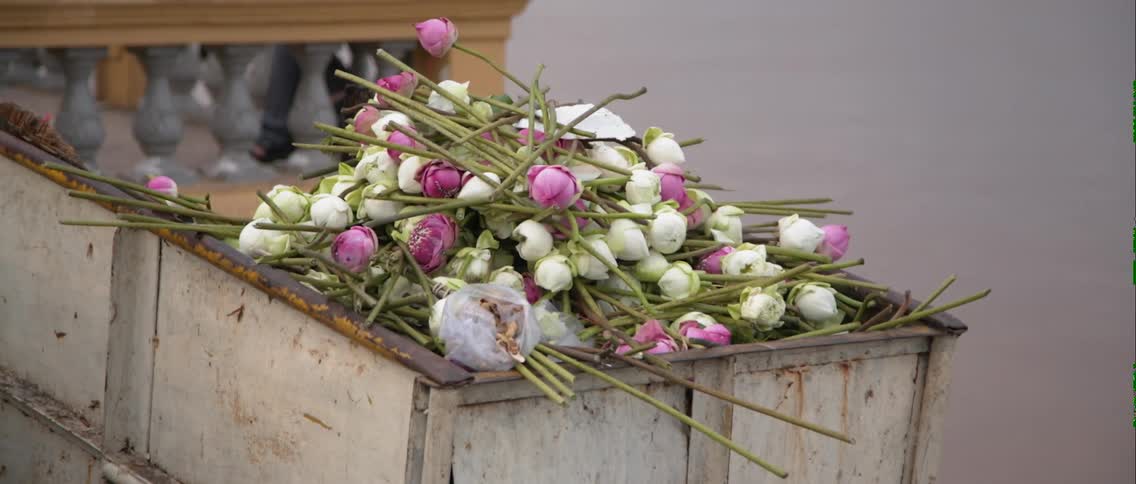 Cut flowers are lying in a pile in a box outside