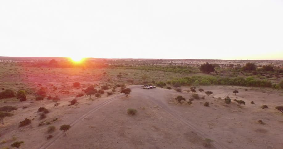 A desert covered in bushes at sunset