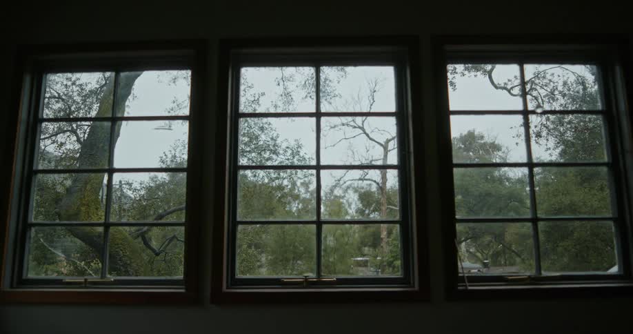 Three windows are side by side and trees can be seen outside of them