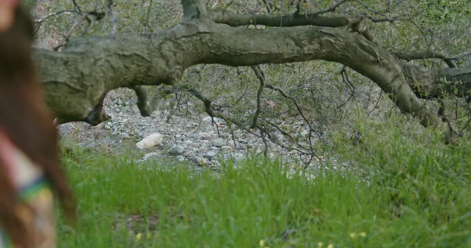 Woman wearing amerindian garb walks through field near tree and stream