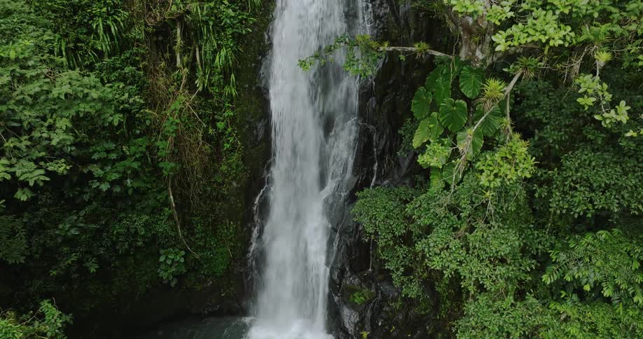 Drone shot of secluded waterfall in the middle of jungle falling into small lagoon