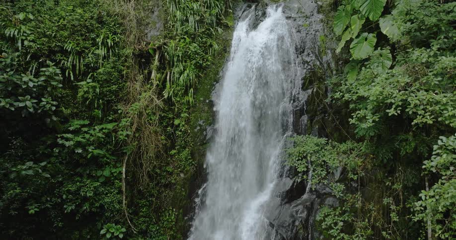 An rising aerial view of a curtain waterfall surrounded by lush vegetation in a tropical rainforest