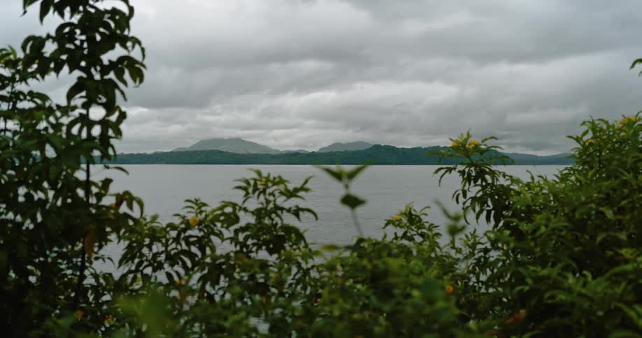 Panoramic view of tropical plants in front of a lake next to the mountains on the other coast