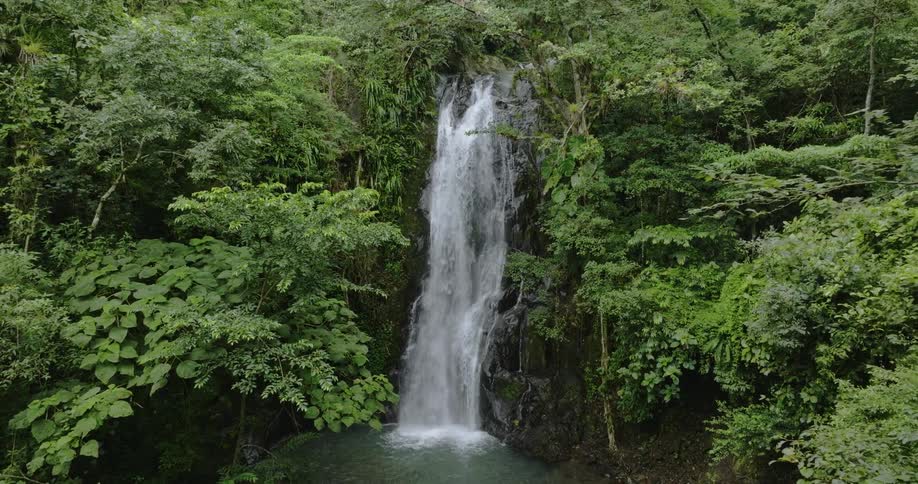 Aerial view of waterfall cascading down cliff in the green forest