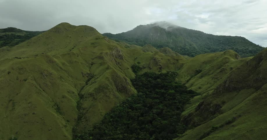 Aerial view of green mountainous terrain and forest