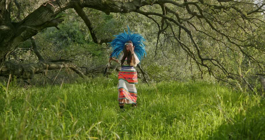 Woman wearing traditional amerindian dress performs a traditional dance in a field under a large tree