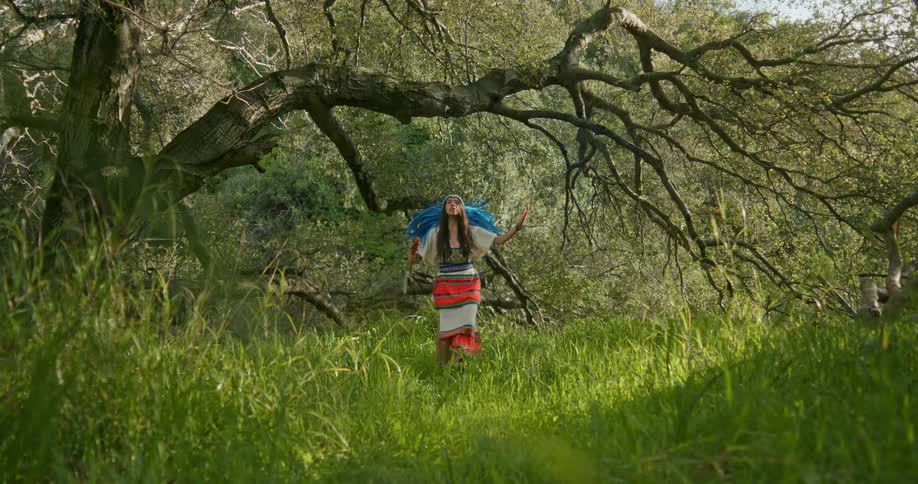 A native american woman wearing a blue feathered headdress is dancing under a tree near the woods