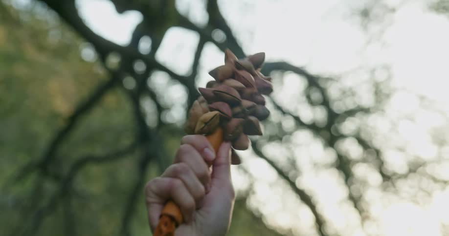 A hand shaking a shaker instrument made out of shells