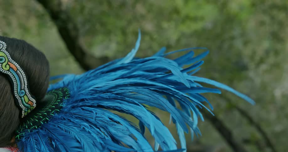 Large blue feathers in the head dress of a female native american dancer