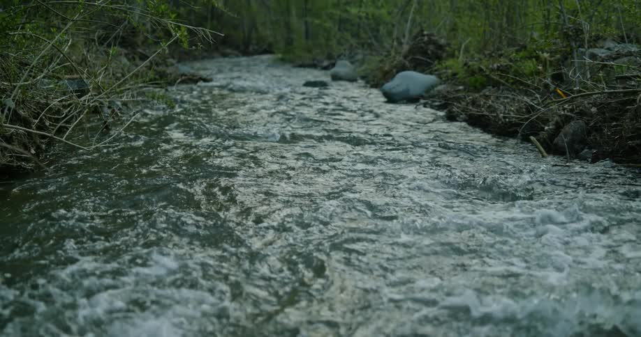 Landscape of river in the forest