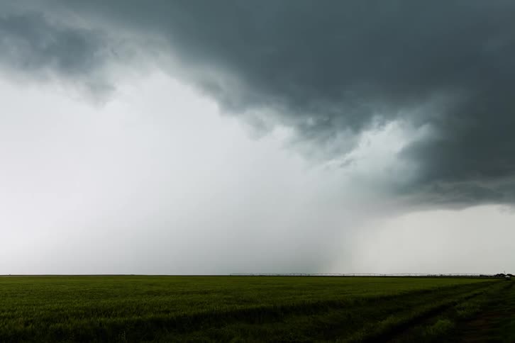 Storm clouds float over an open field