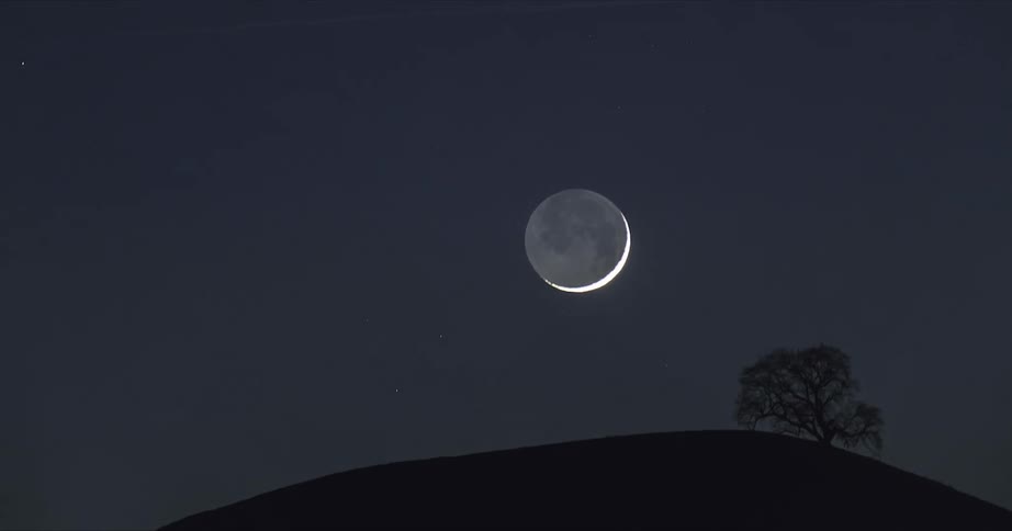 A time lapse shows the moon descending behind the silhouette of a tree on a hill