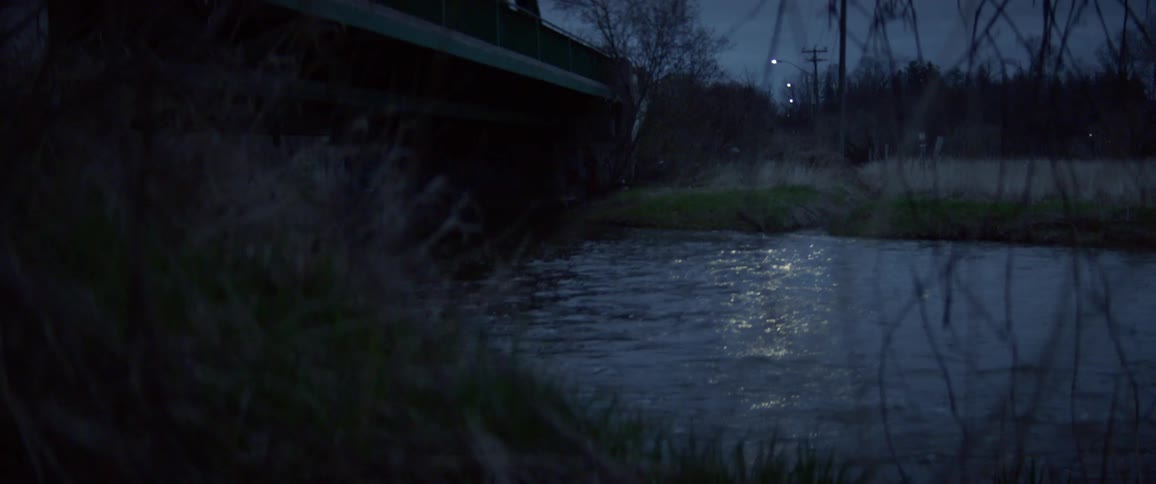 A river is flowing at night in a forest area