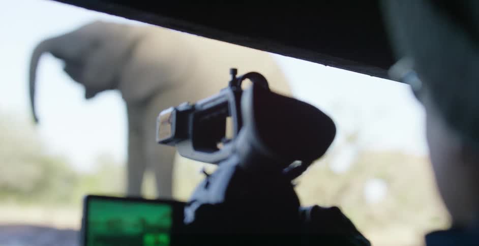 Elderly man video recording and elephant from a lookout spot