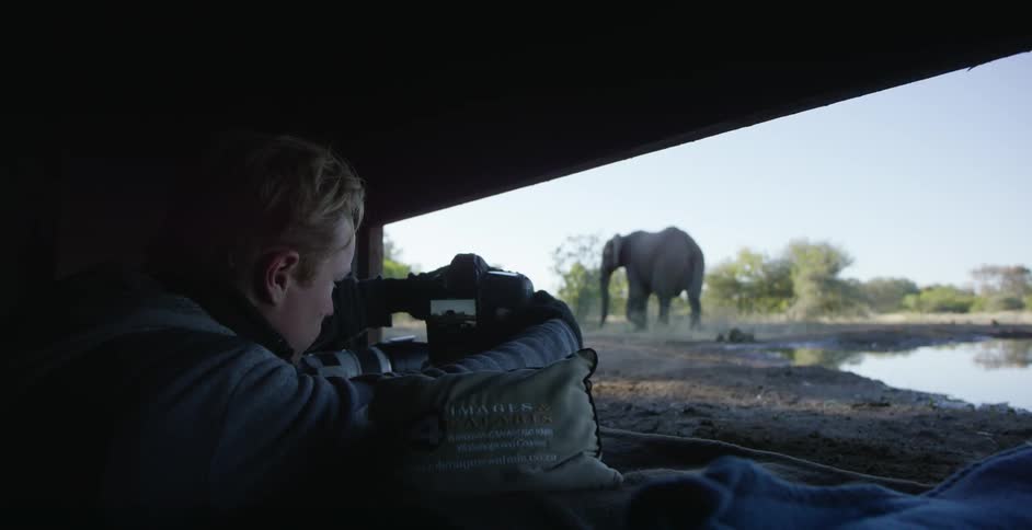 A man is photographing elephants walking by the water