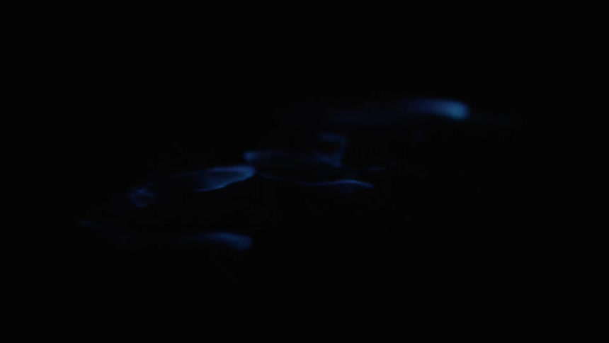 Blue flames swirl and move as they burn in the darkness