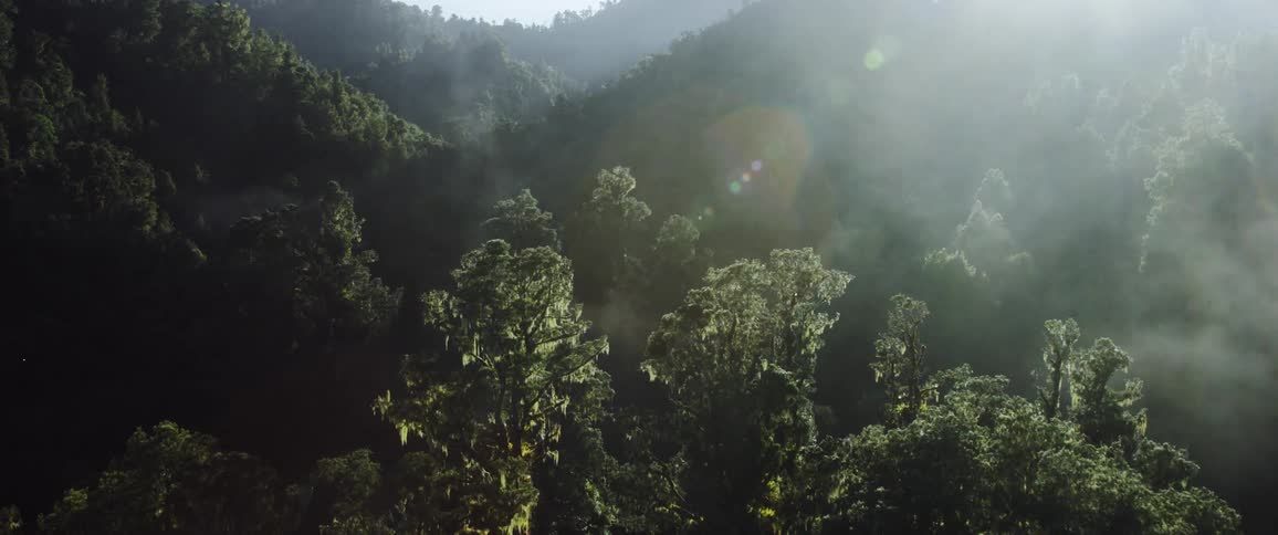 Sun shines through low lying clouds onto forest covered mountains