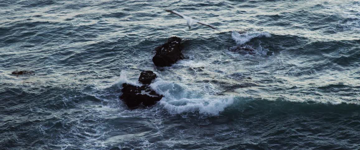 Wave splash against rocks as they roll in to shore as a seagull flies over the water along the coast