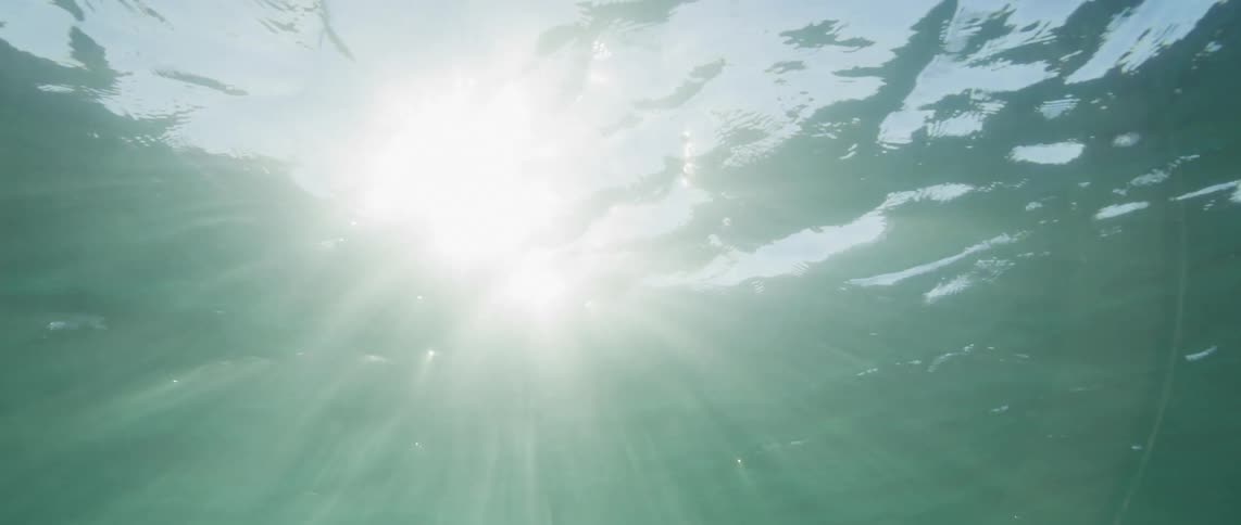 A view from under the water sea is displayed