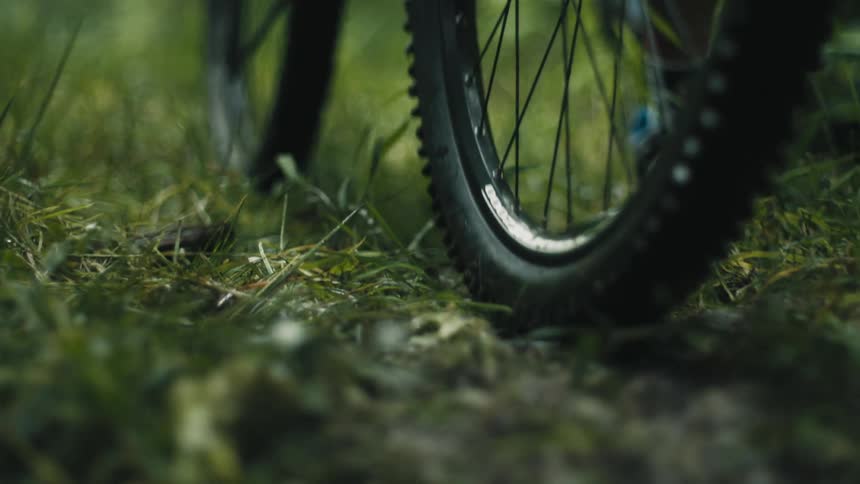 Man rides bicycle on green lawn