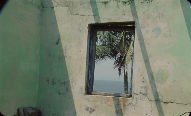 Window in cracked building wall shows palm tree and horizon