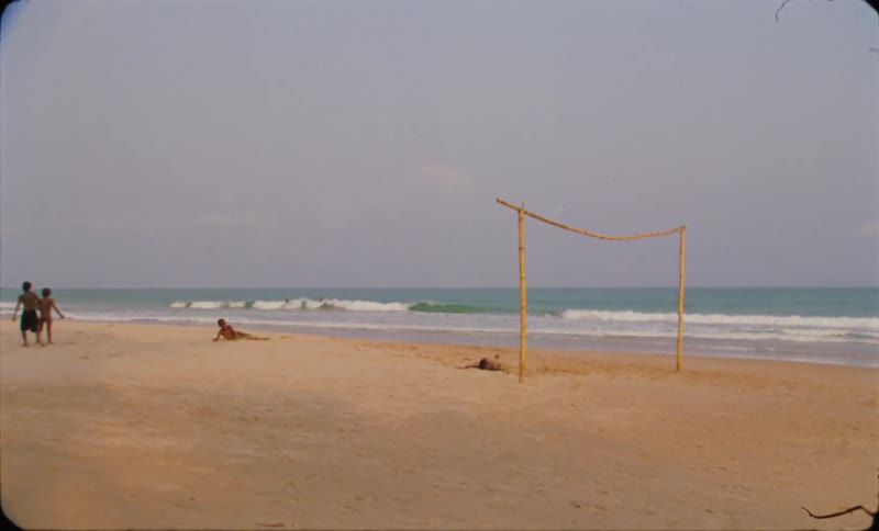 A group of young boys are running and kicking a ball on the beach as a seagull flies overhead and waves roll in to shore