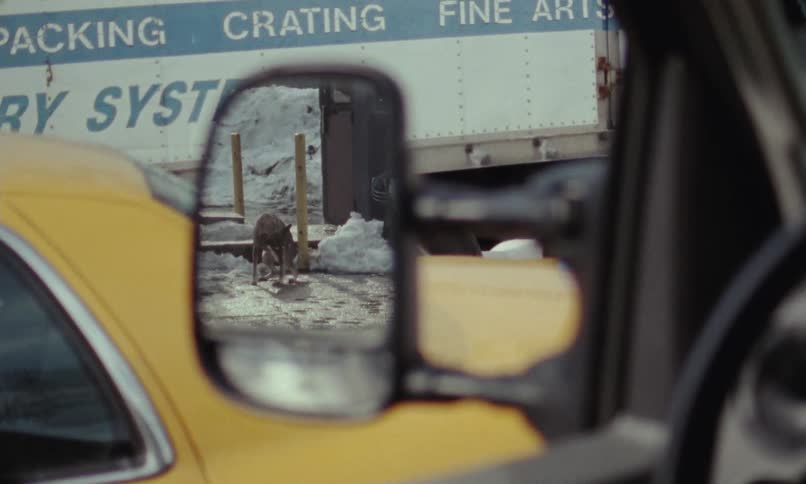 A side mirror on a vehicle showing a dog in the reflection