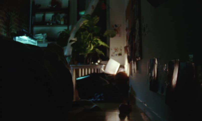 Papers hang on wall across from furnishings in dark room with bright aquarium in the corner near the windows