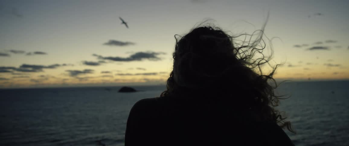 Slow motion of the long curled hair of a woman waving in the wind in front of the ocean at evening