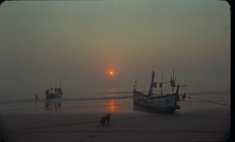 A woman walks past a dog playing on the beach near docked boats