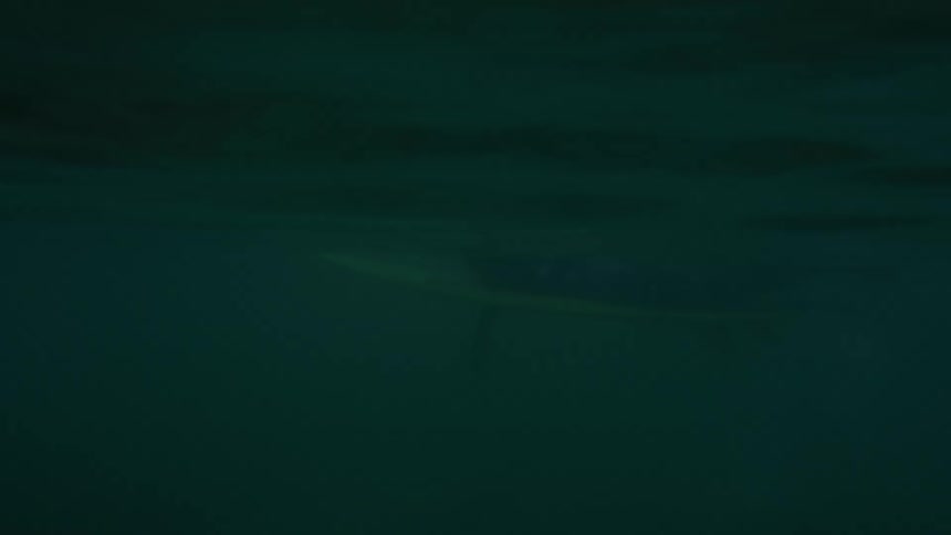 A young man is swimming in the water