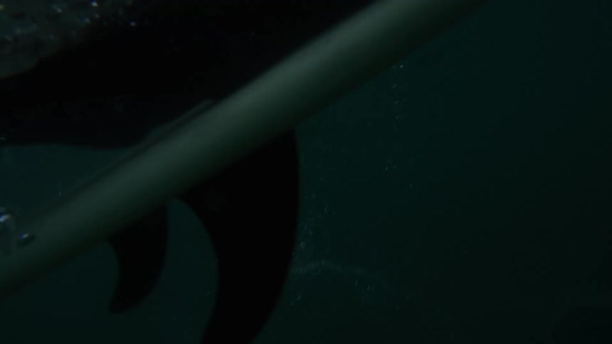 A person in a diving suit is shown underwater swimming forward while laying on a surfboard