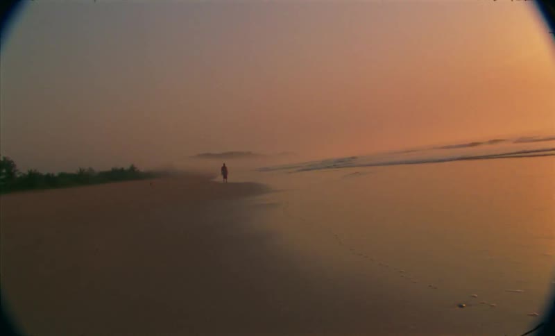 A person is walking on the beach coast while the sun is setting