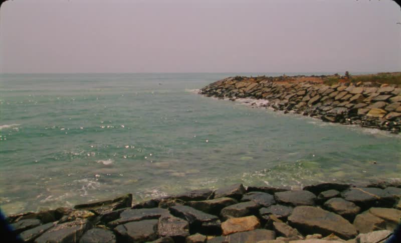 The view is of the nature area in the middle of the day time