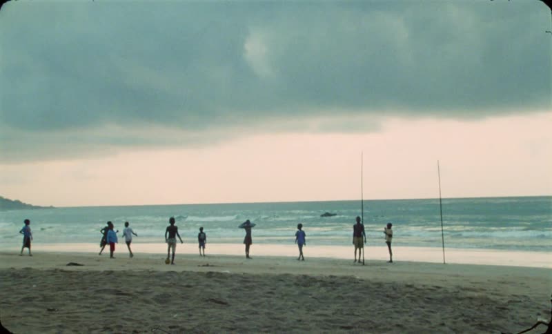 A group of people are playing a game at the beach