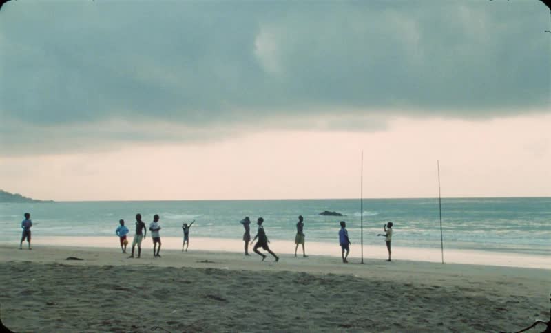 A group of friends are hanging out at the beach together