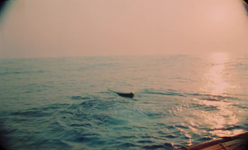 Woman standing on a boat throws a surfboard into the ocean and then jumps after it at sunset caught on vintage film