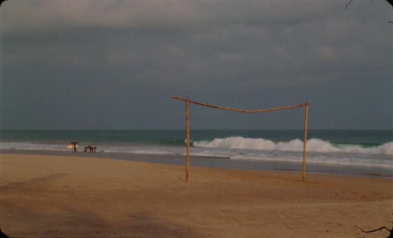 People are at the beach with their surf boards