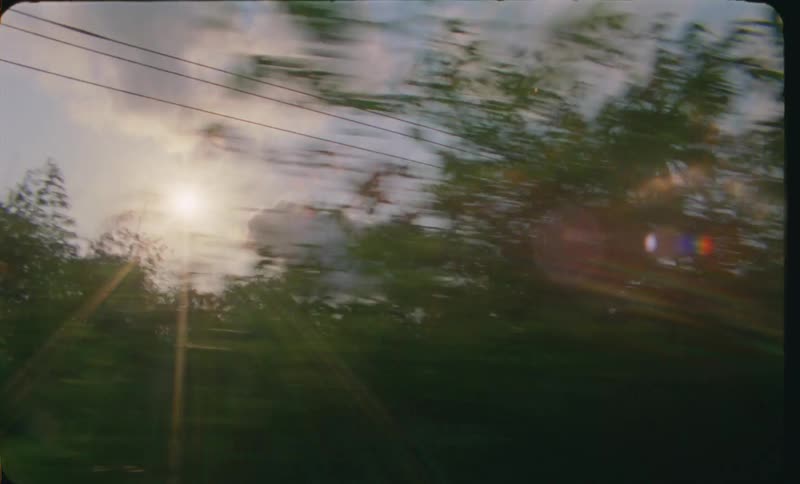 Sun shines behind the passing trees on a tropical island caught on vintage film