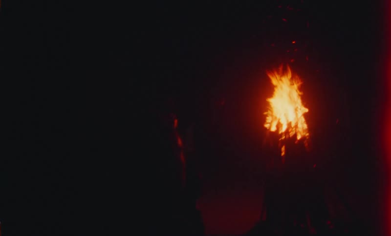 A group of teenagers dancing around a bonfire on the beach at nighttime