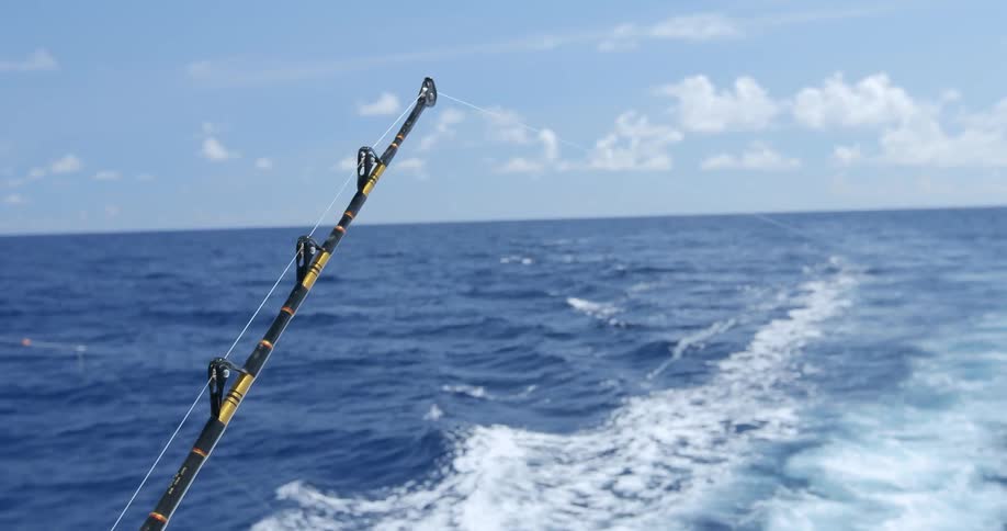 A fishing pole trailing line behind a moving boat