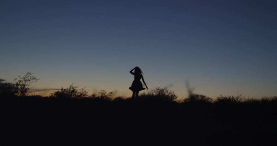 The silhouette of a woman in a dress twirling in a field