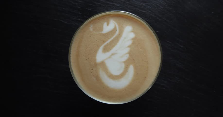 Light moves across a cup of coffee with which has a swam design in the foam
