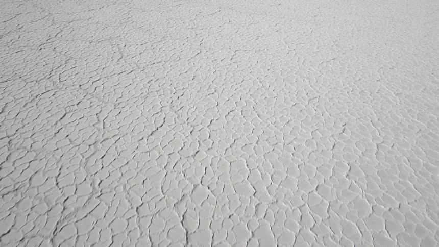 Cracks run along pale arid ground
