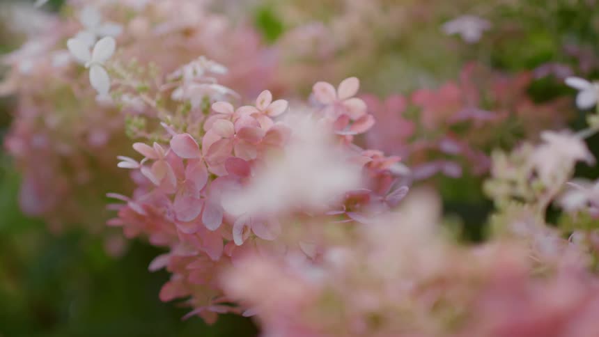 A view of flowers and grasses outdoors